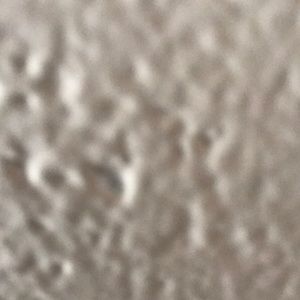 Meet your Posher, Sydney